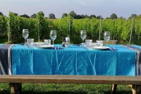 Bei Bed and Breakfast De Wijnstaete steht faires und lokales Essen im Mittelpunkt mit Wein vom eigenen Weinberg